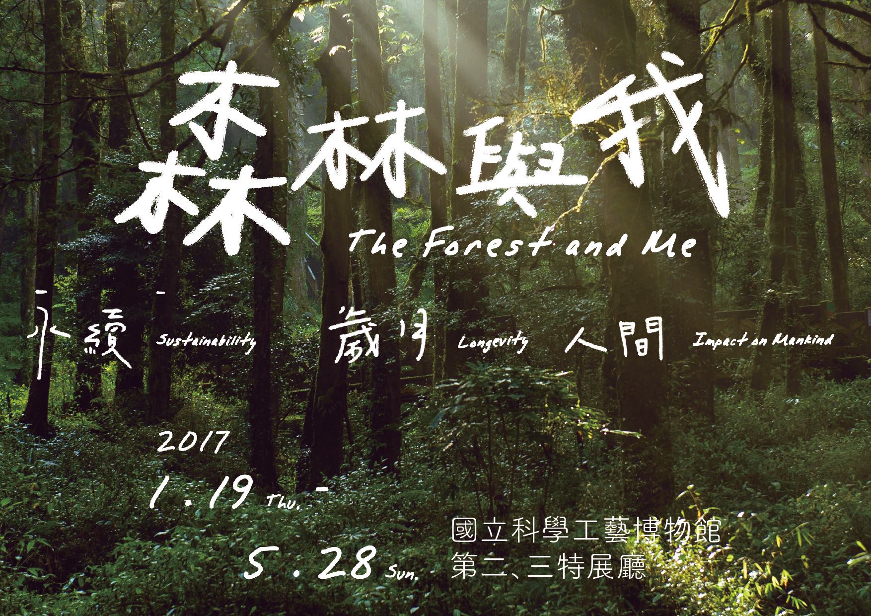 The Forest and Me   
