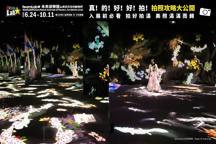 《teamLab未來遊樂園&與花共生的動物們》拍照攻略