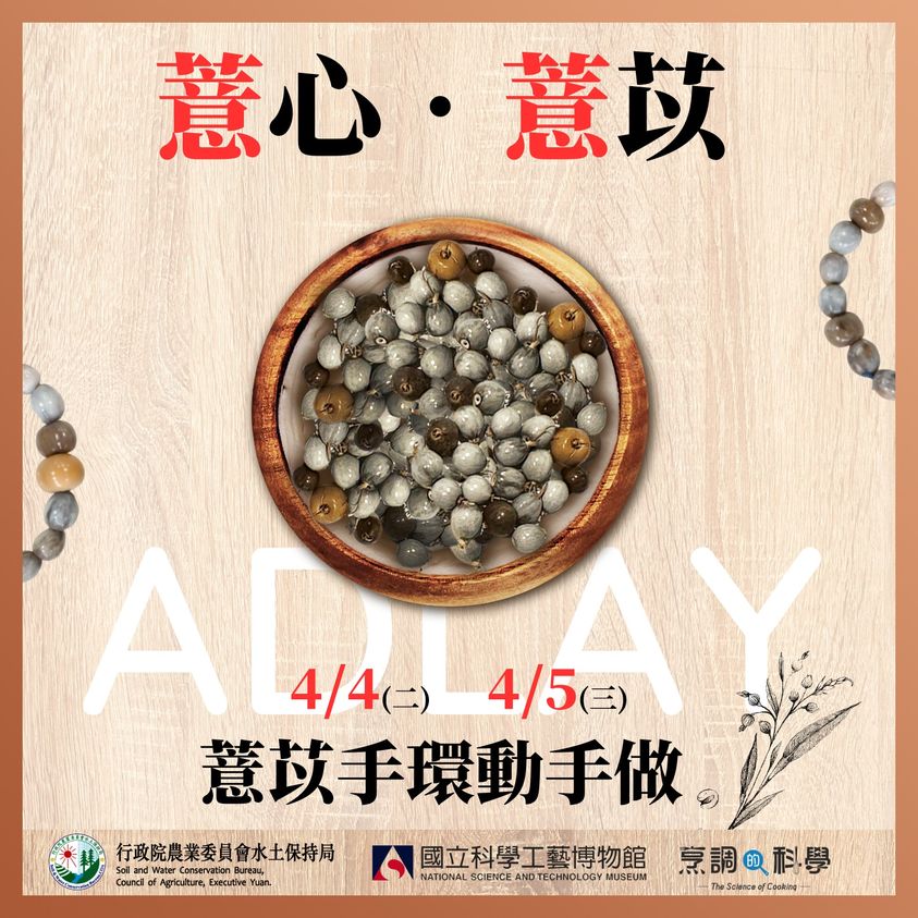 薏心薏苡－薏苡手環動手做