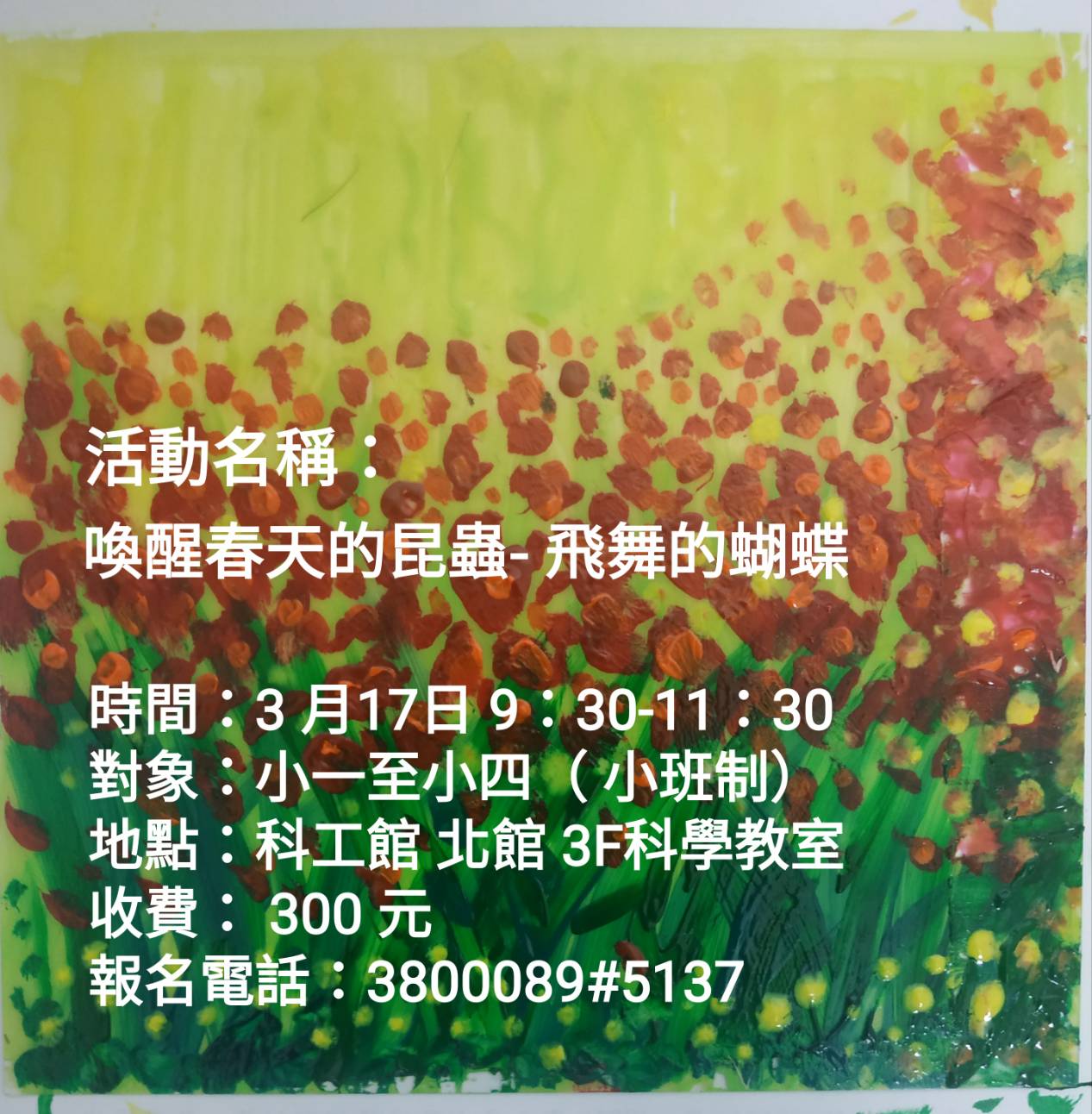 【假日科學饗宴】小小設計師-【喚醒春天的昆蟲-飛舞的蝴蝶】