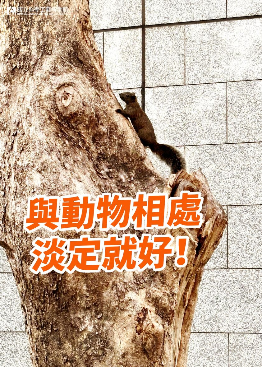 (科工館生態篇)與動物相處 淡定就好