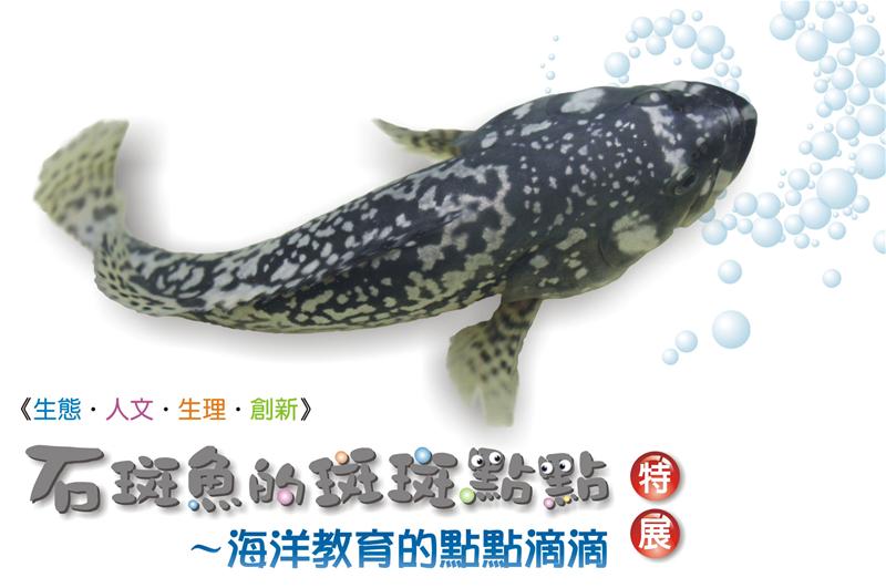 石斑魚的斑斑點點特展