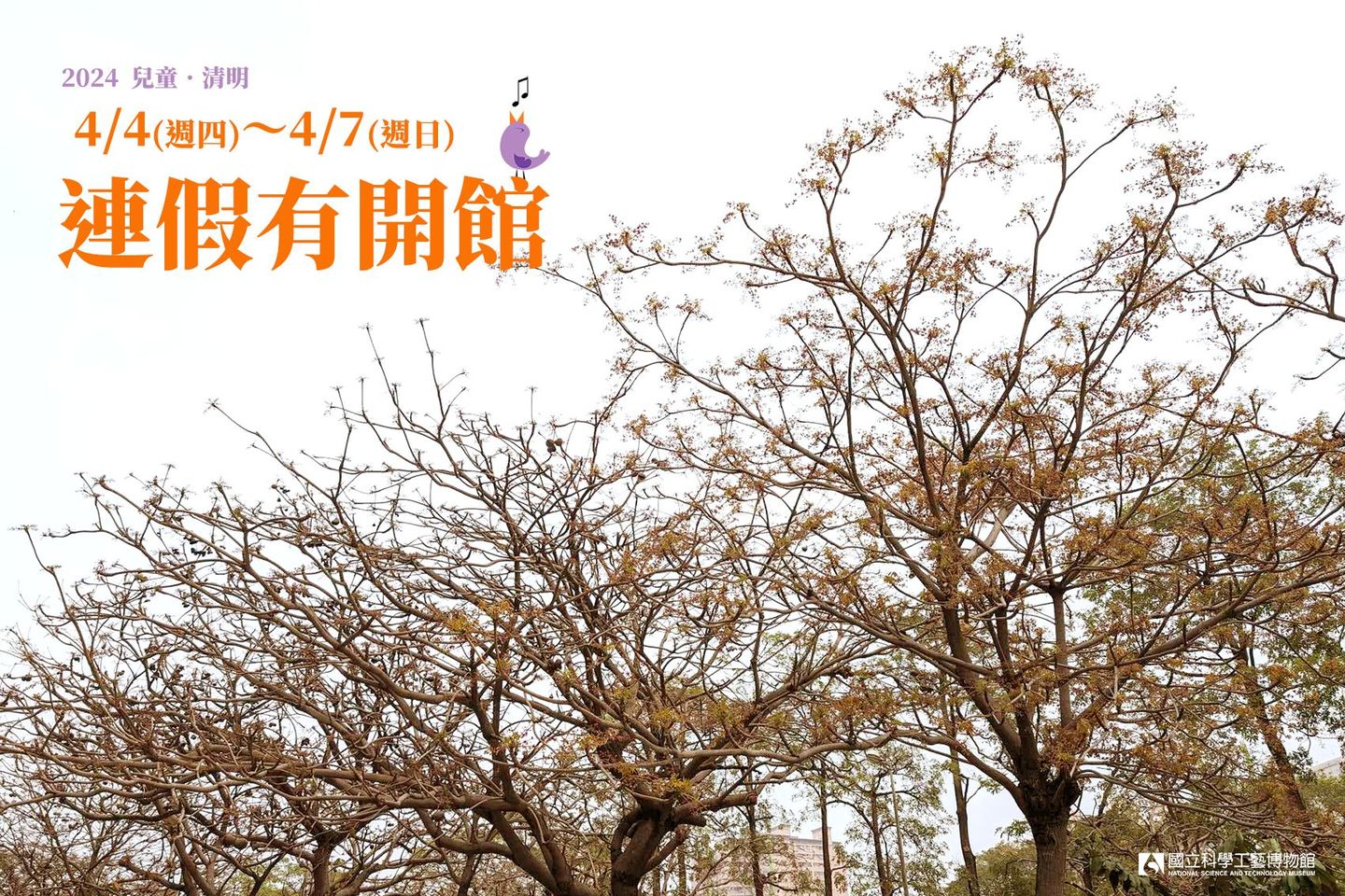 本館清明節連假照常開館~