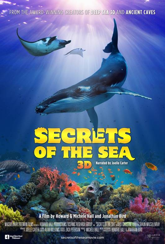  Secrets Of The Sea