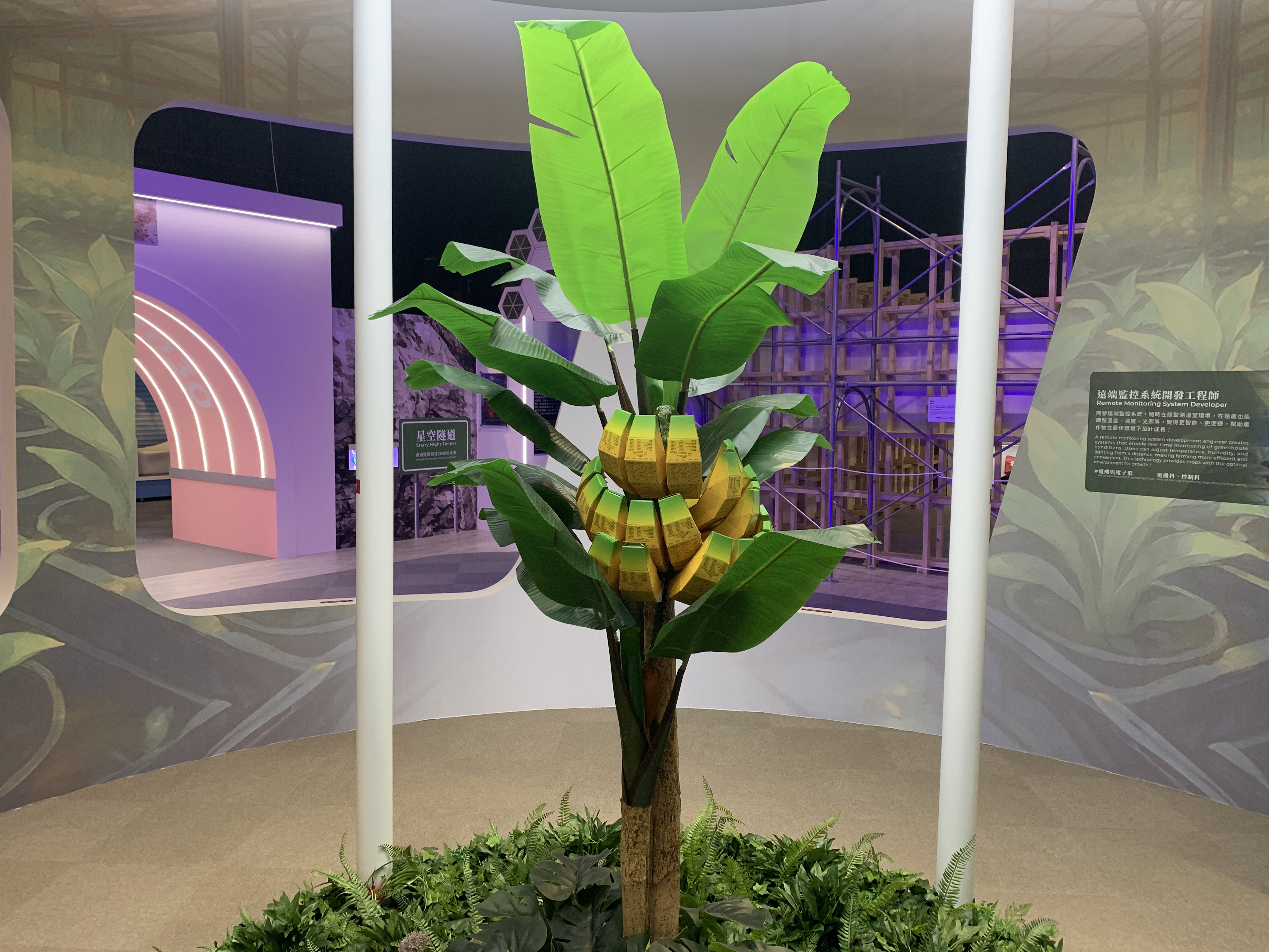Greenhouse-Banana fiber paper packing design