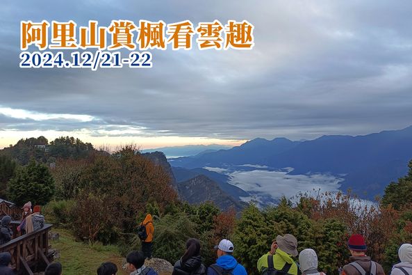 阿里山賞楓看雲趣 阿里山著名的五奇(日出、雲海、鐵路、森林、晚霞)
