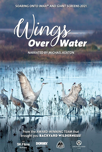 WINGS OVER WATER